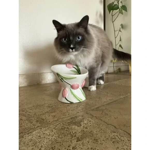 Mellow & Mod Cat Drinking Water Tall Bowl "Pink tulips" Hand Painted Colorful - Picture 7 of 10